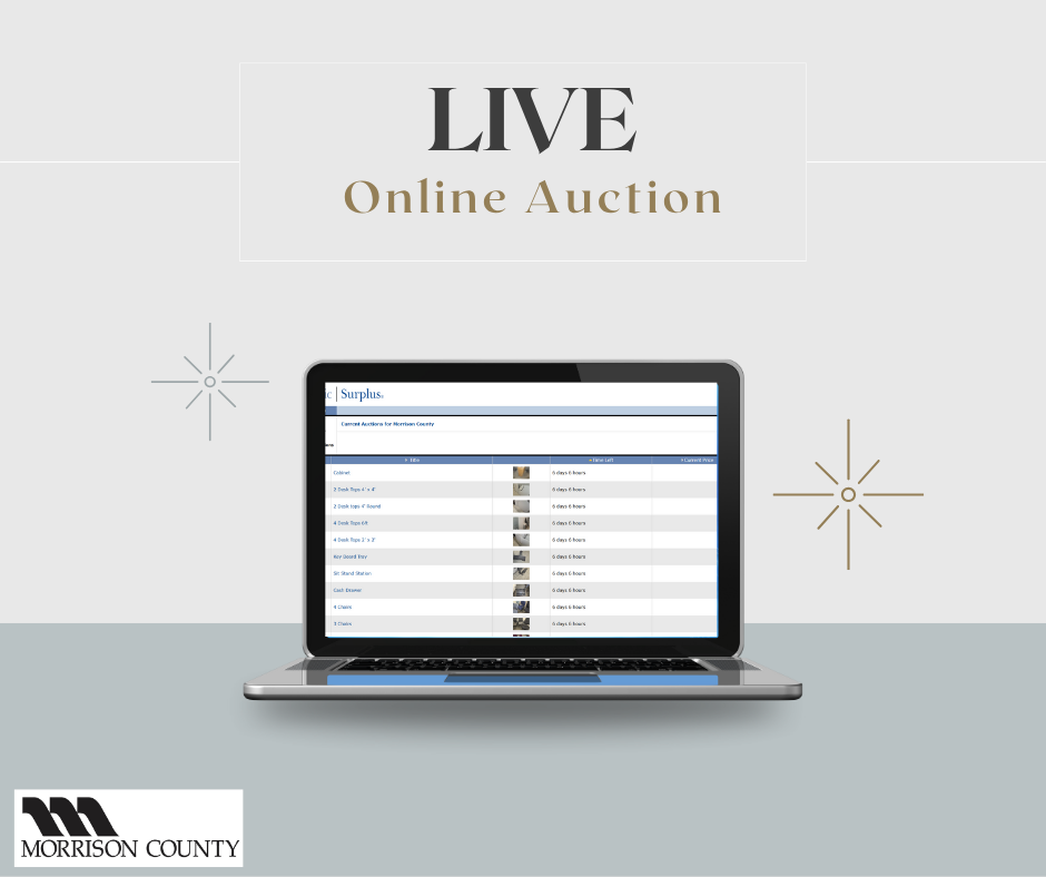 Online Auction