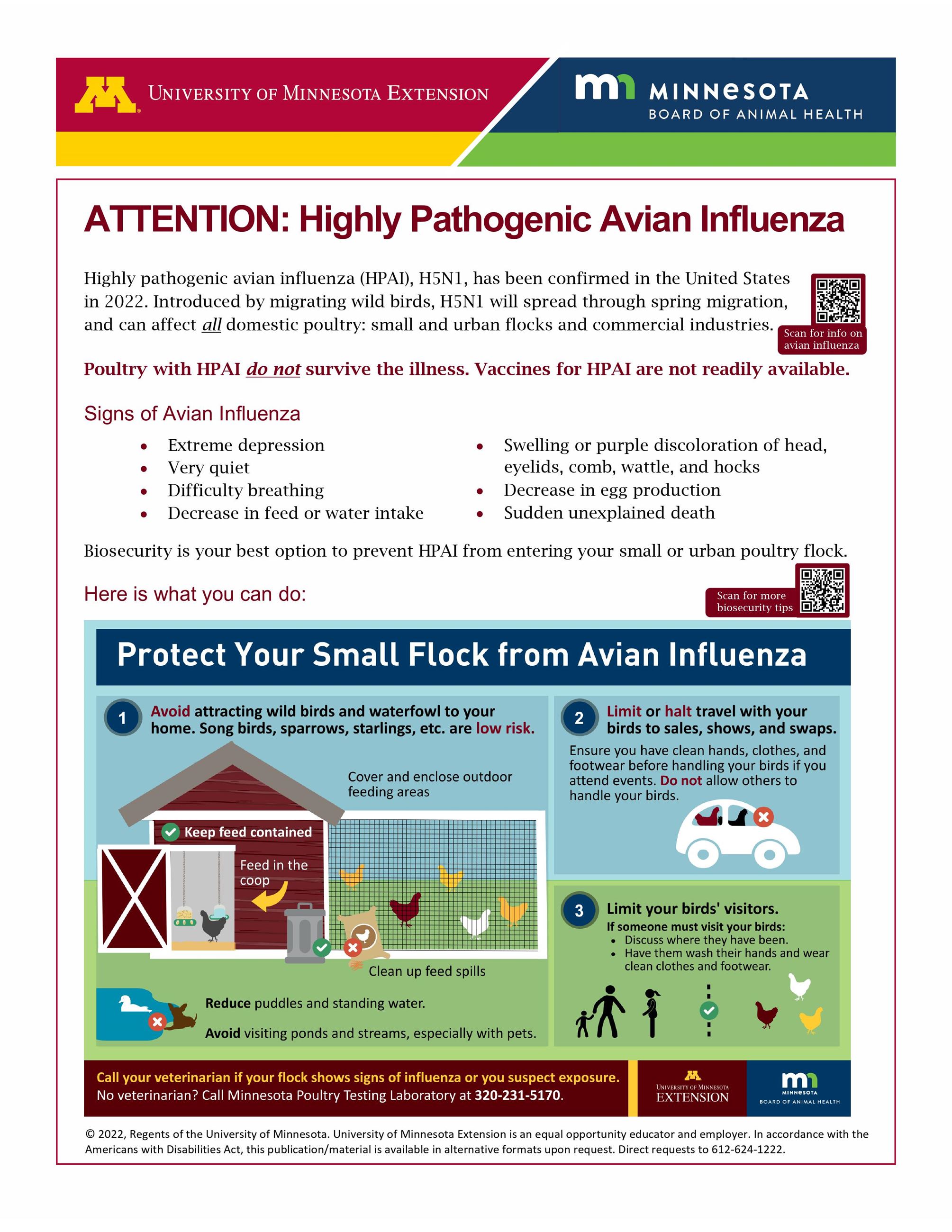 Avian Influenza Flyer